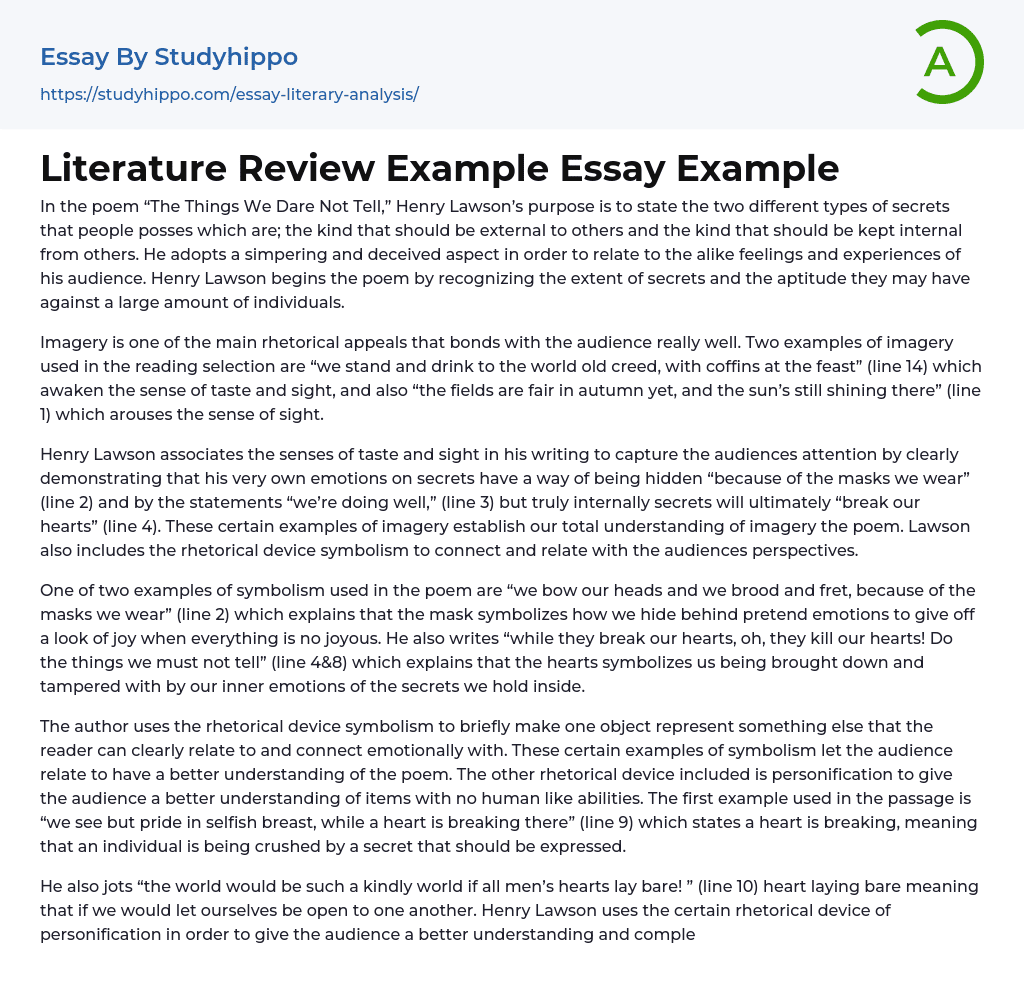 Literature Review Example Essay Example