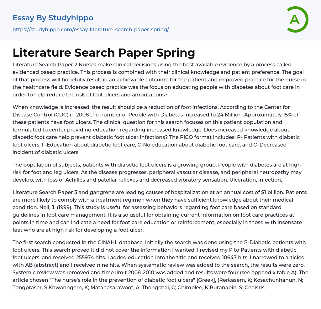 Literature Search Paper Spring Essay Example