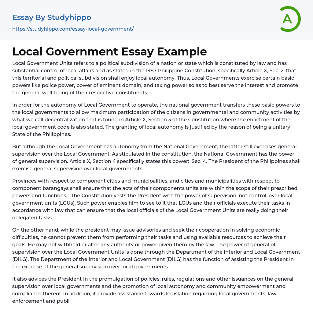 Local Government Essay Example StudyHippo