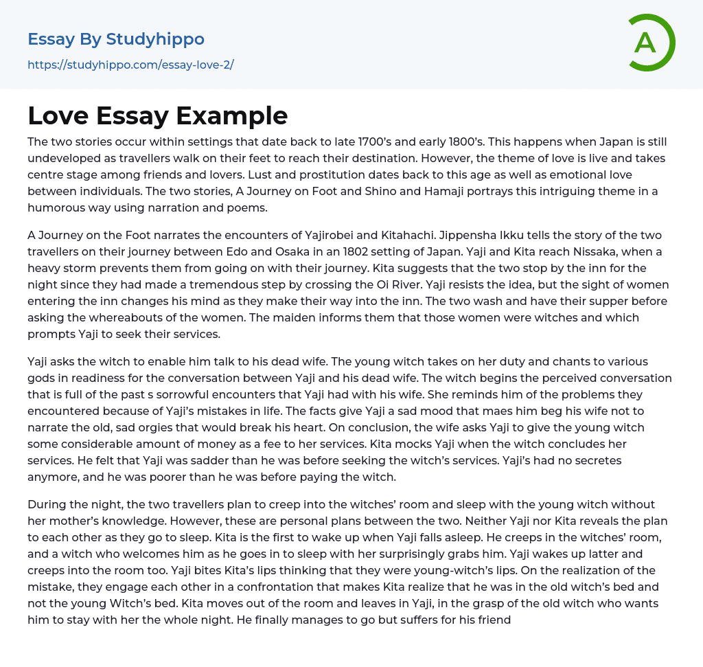 Love Essay Example