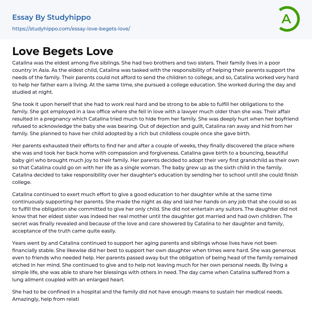 Love Begets Love Essay Example