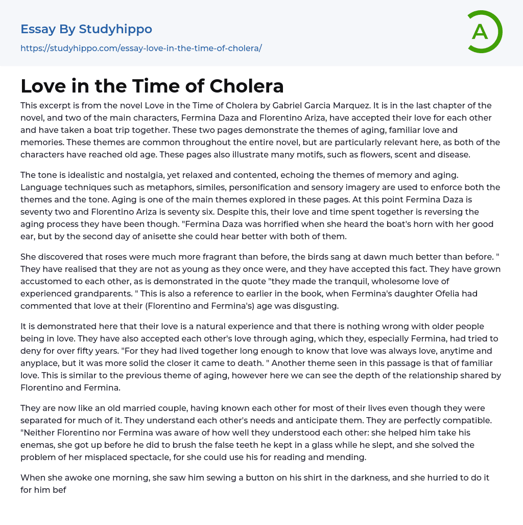 Love in the Time of Cholera Essay Example