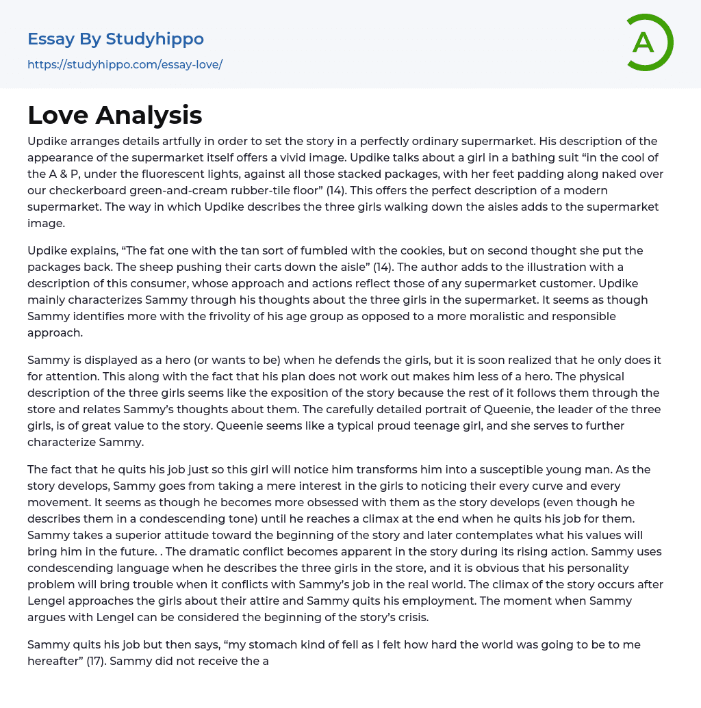 Love Analysis Essay Example
