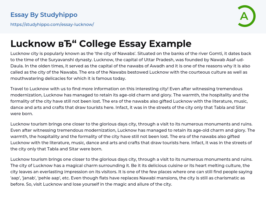 Lucknow College Essay Example