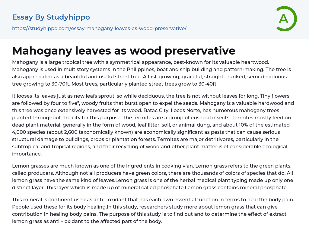 Mahogany leaves as wood preservative Essay Example