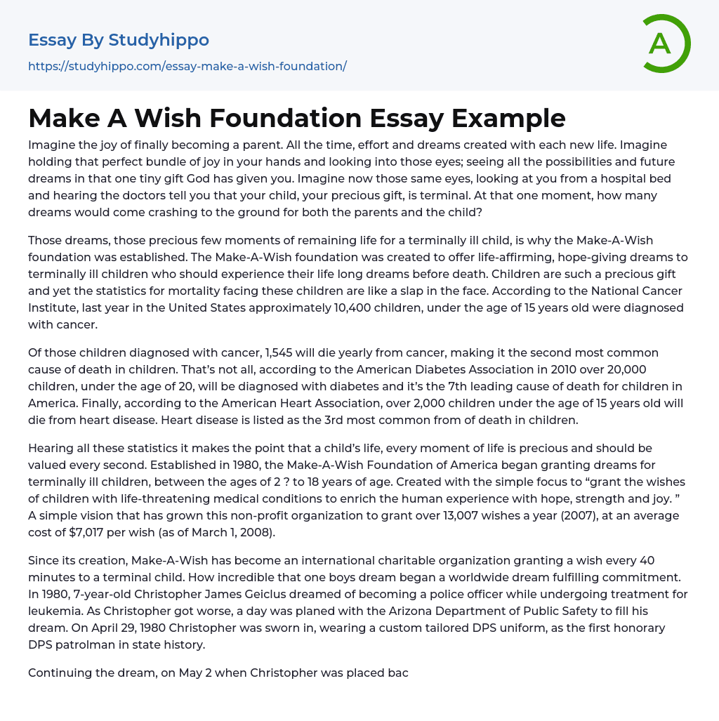 Make A Wish Foundation Essay Example