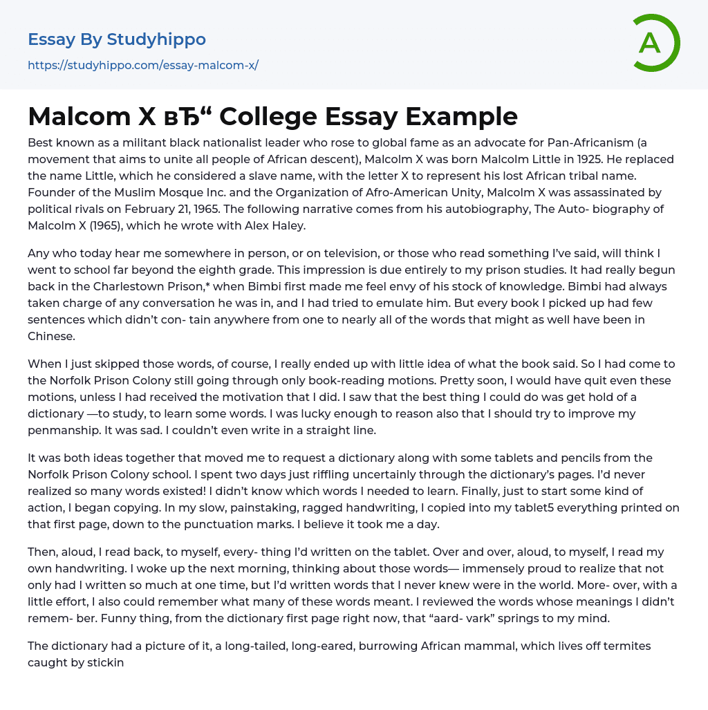 Malcom X College Essay Example