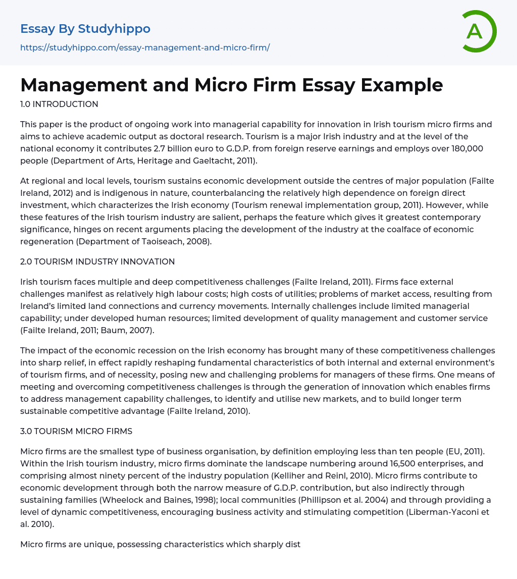 Management and Micro Firm Essay Example