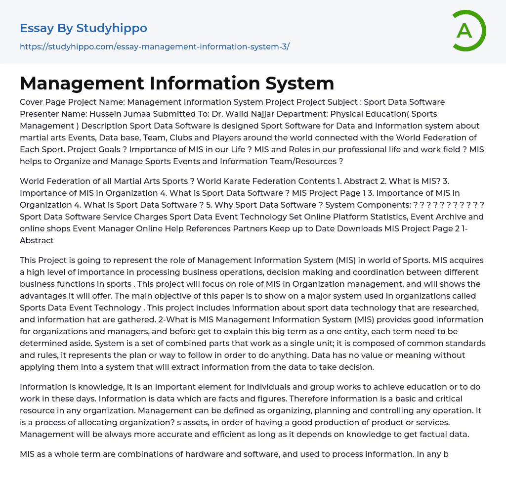 Management Information System Essay Example