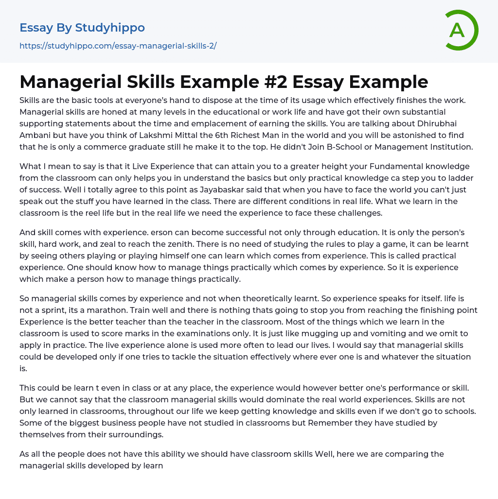 Managerial Skills Example #2 Essay Example