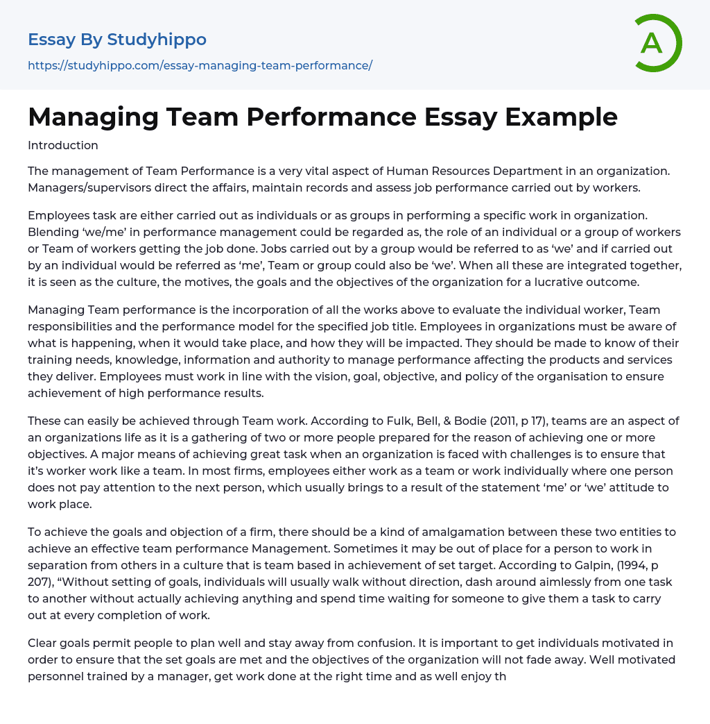 Managing Team Performance Essay Example | StudyHippo.com