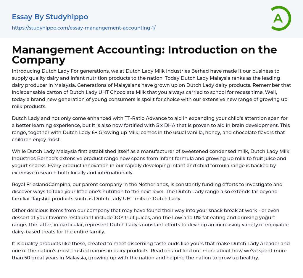 Manangement Accounting: Introduction on the Company Essay Example