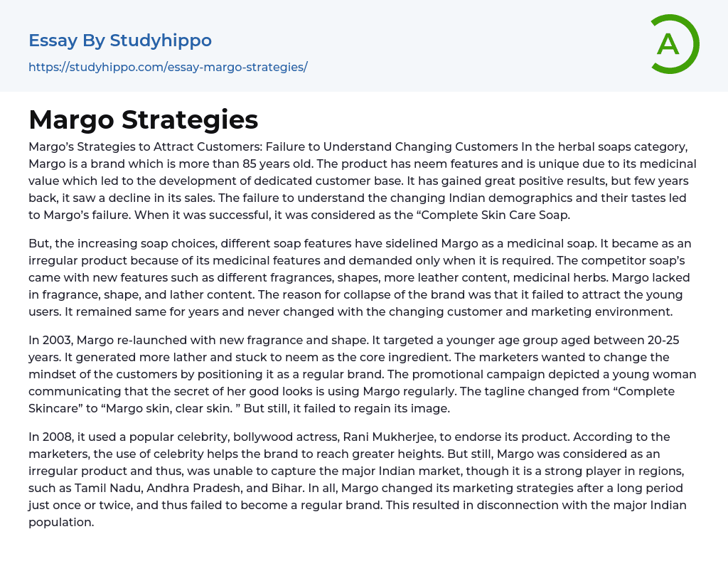 Margo Strategies Essay Example