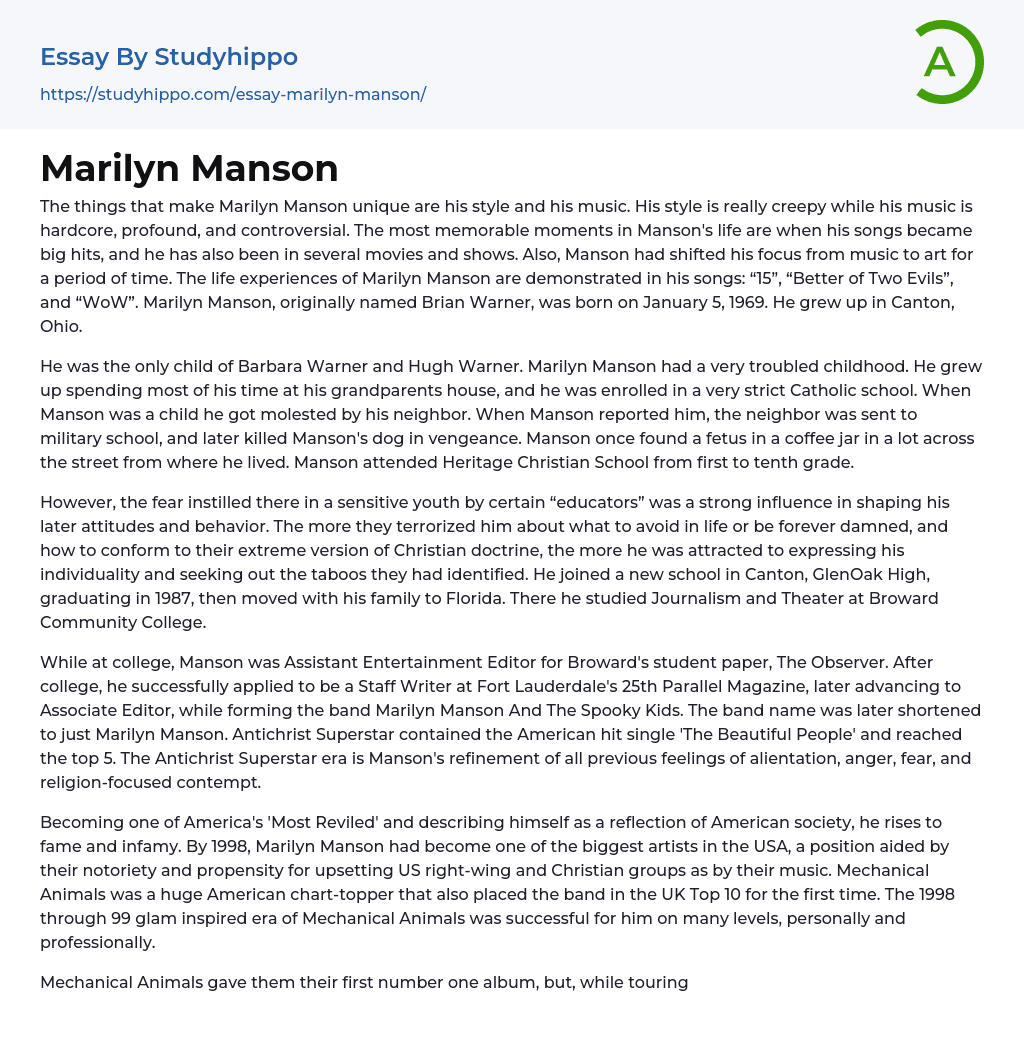 Marilyn Manson Essay Example