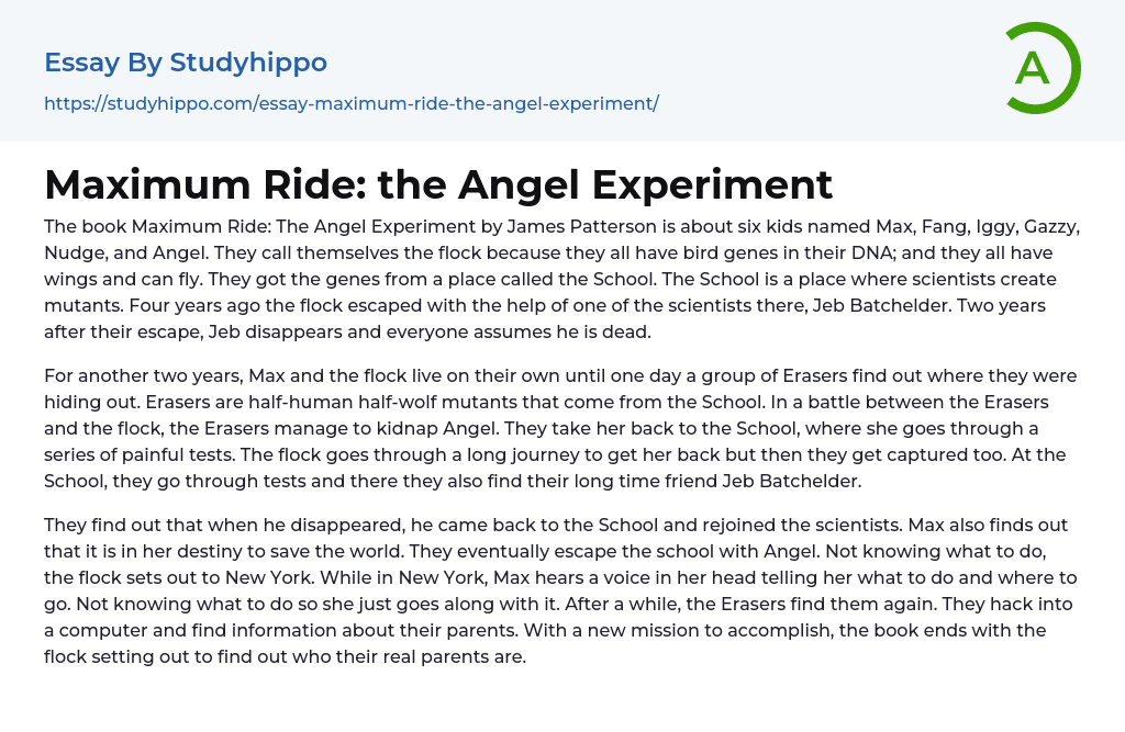 Maximum Ride: the Angel Experiment Essay Example