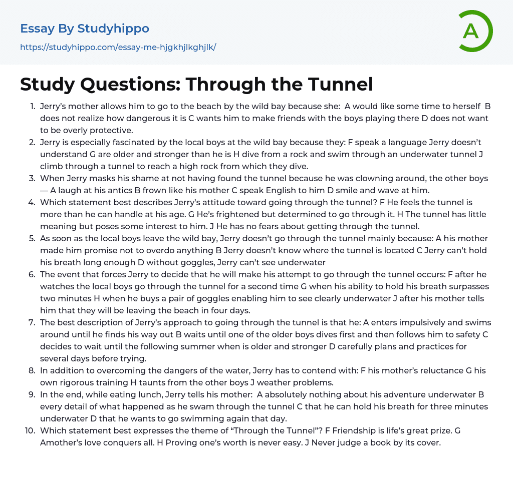 Study Questions: Through the Tunnel Essay Example