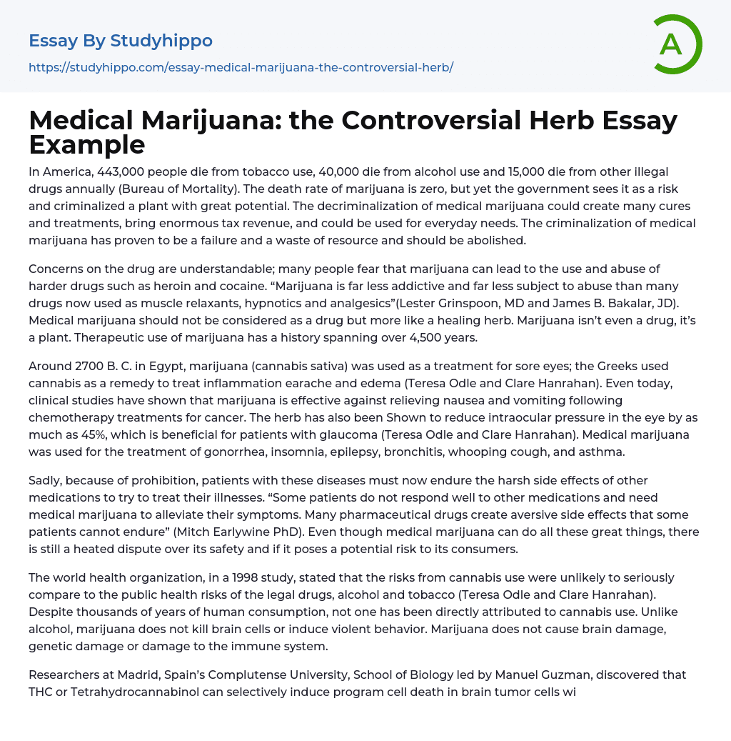 Medical Marijuana: the Controversial Herb Essay Example