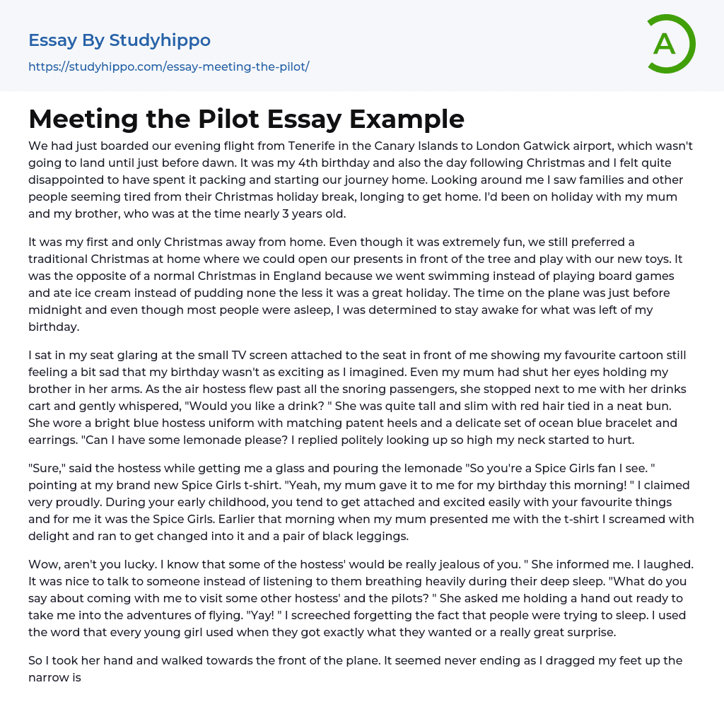 Meeting the Pilot Essay Example