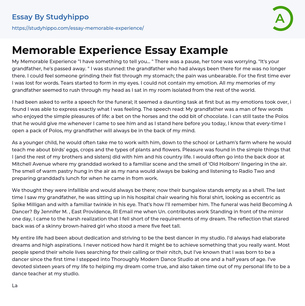 my memorable experience essay