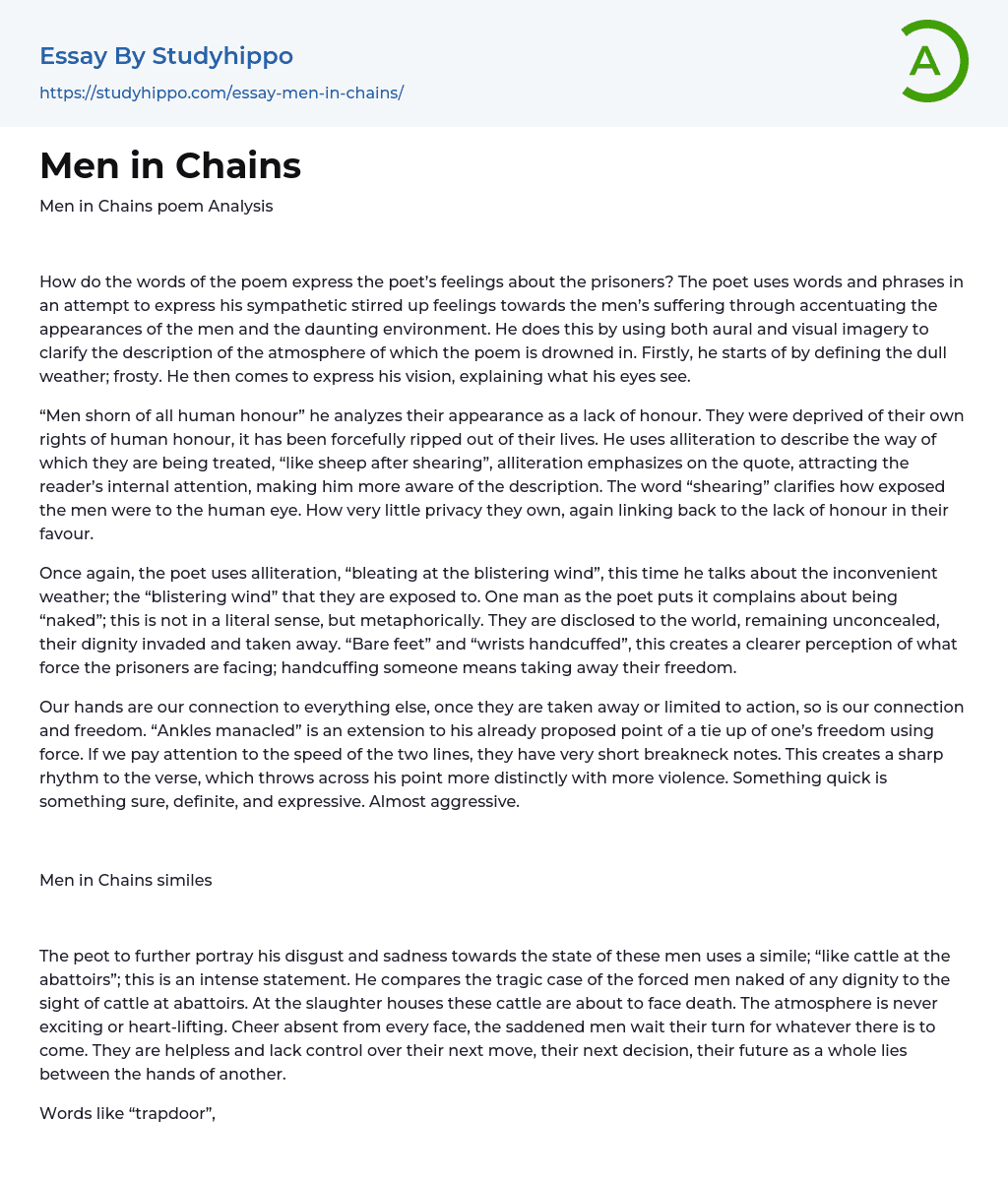 Men in Chains Essay Example