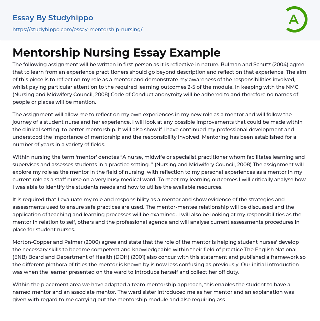 Mentorship Nursing Essay Example