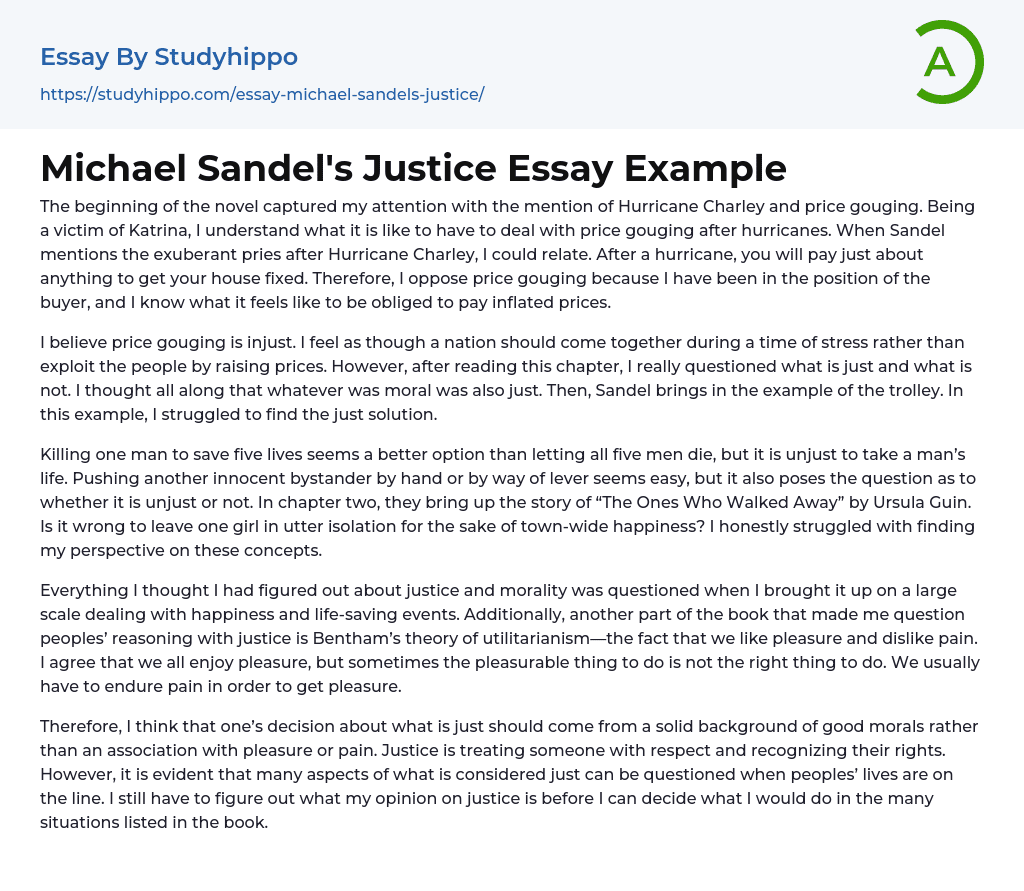 Michael Sandel’s Justice Essay Example