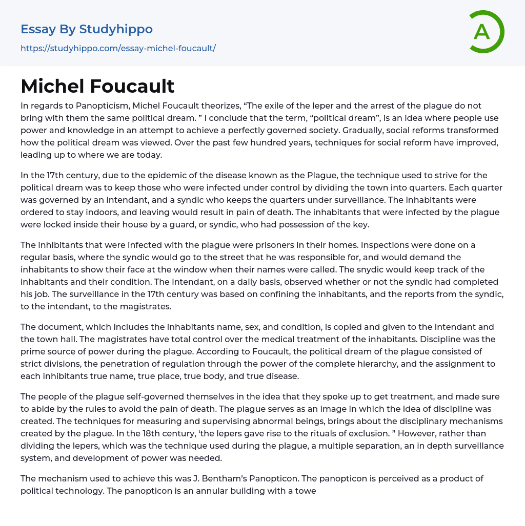 Michel Foucault Essay Example