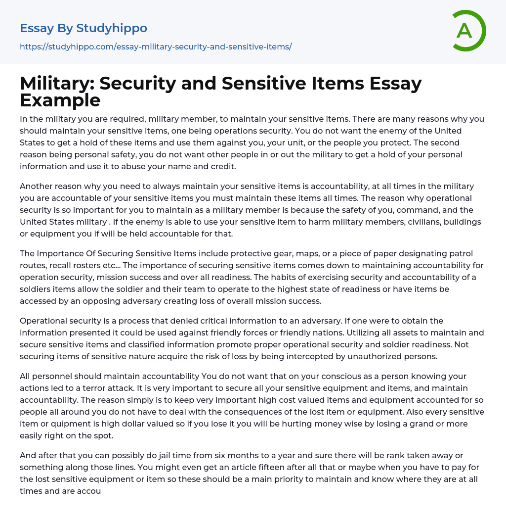 Military: Security and Sensitive Items Essay Example