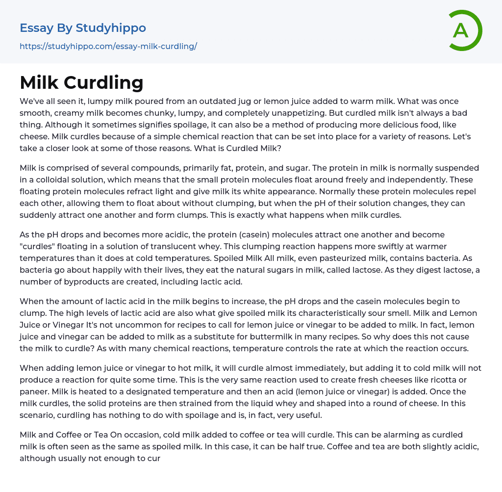 Milk Curdling Essay Example