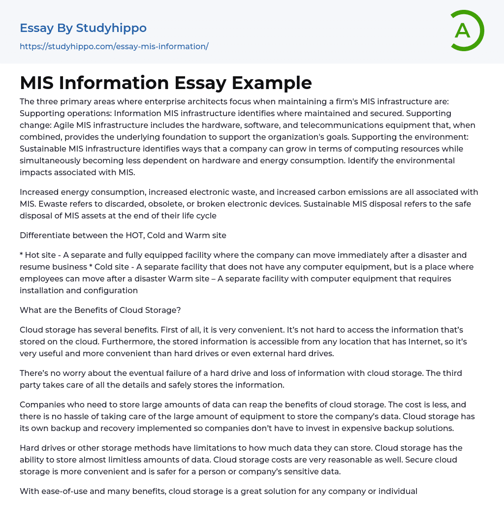 MIS Information Essay Example