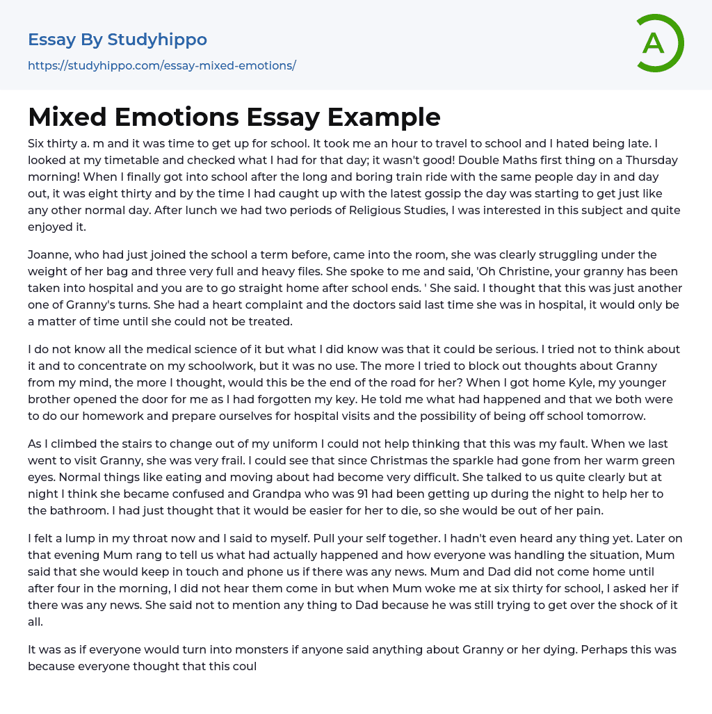 Mixed Emotions Essay Example