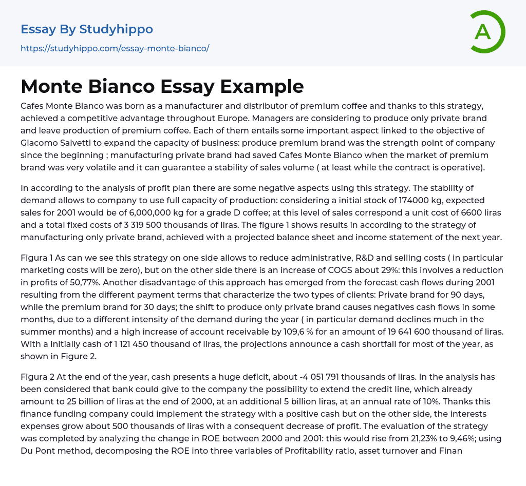 Monte Bianco Essay Example