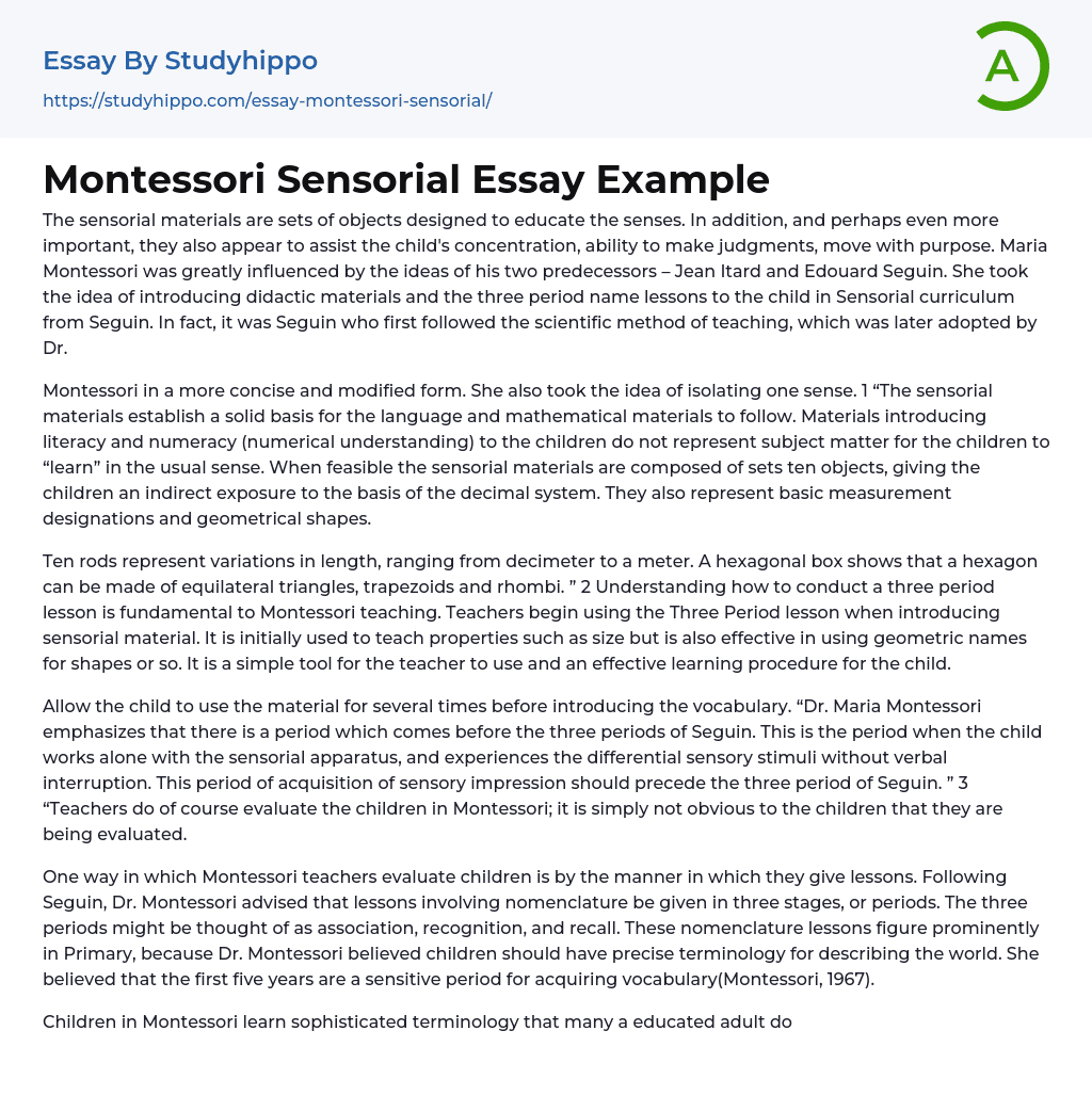 Montessori Sensorial Essay Example