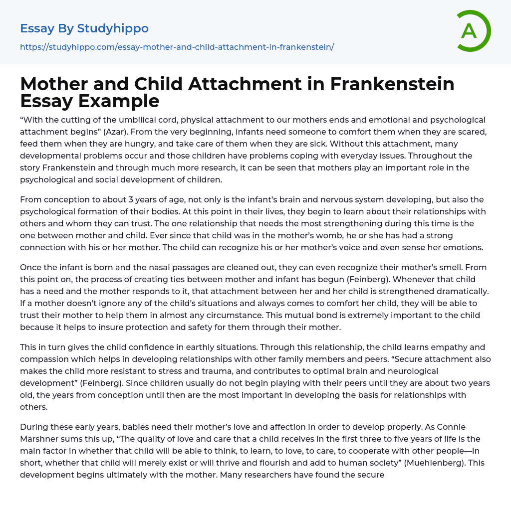 Mother and Child Attachment in Frankenstein Essay Example