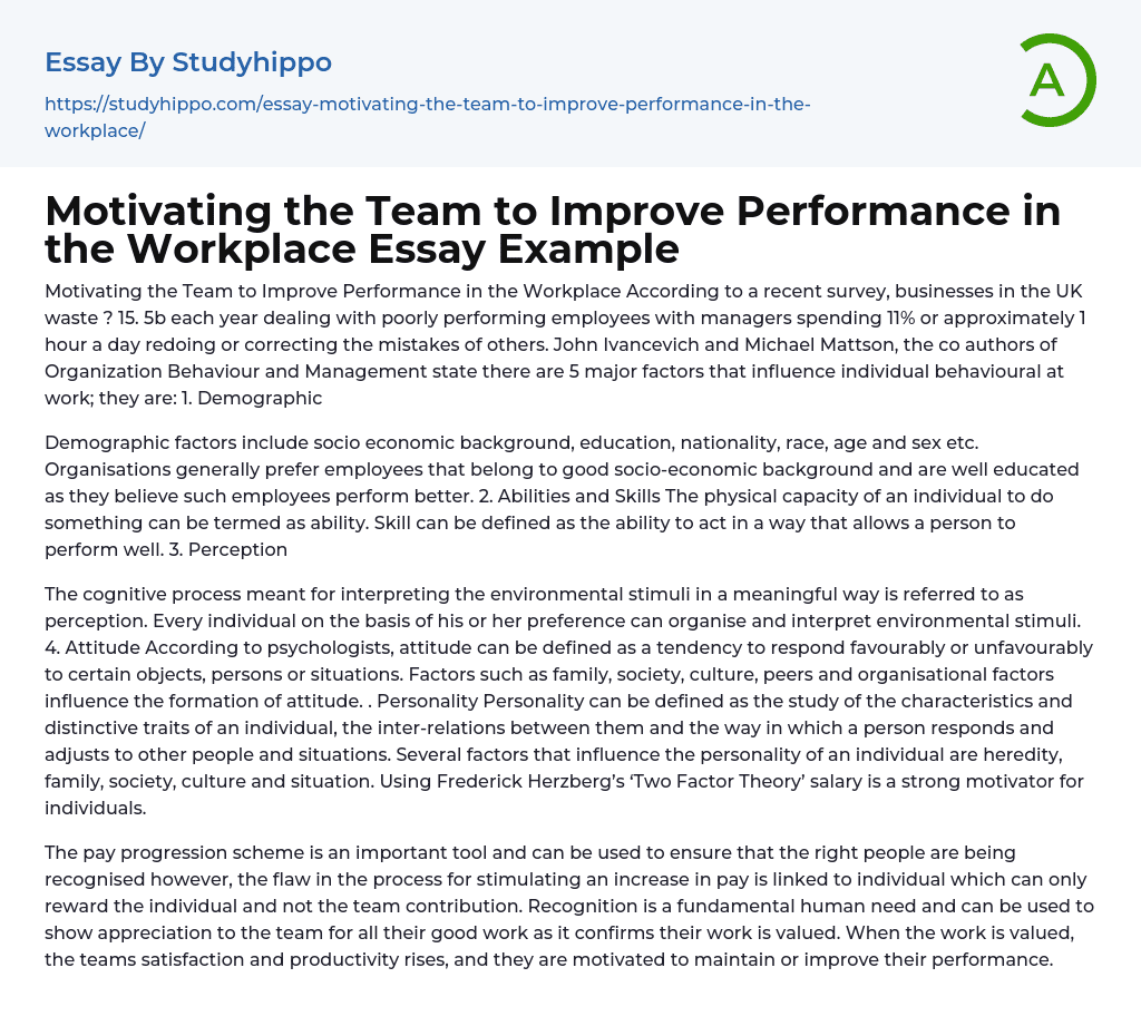 Motivating the Team to Improve Performance in the Workplace Essay Example
