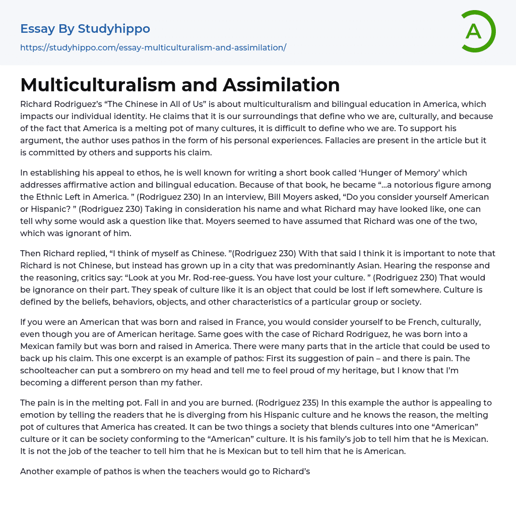 Multiculturalism and Assimilation Essay Example