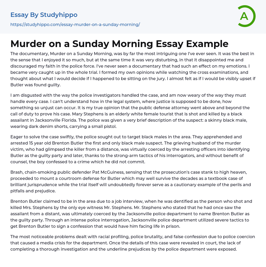 Murder on a Sunday Morning Essay Example