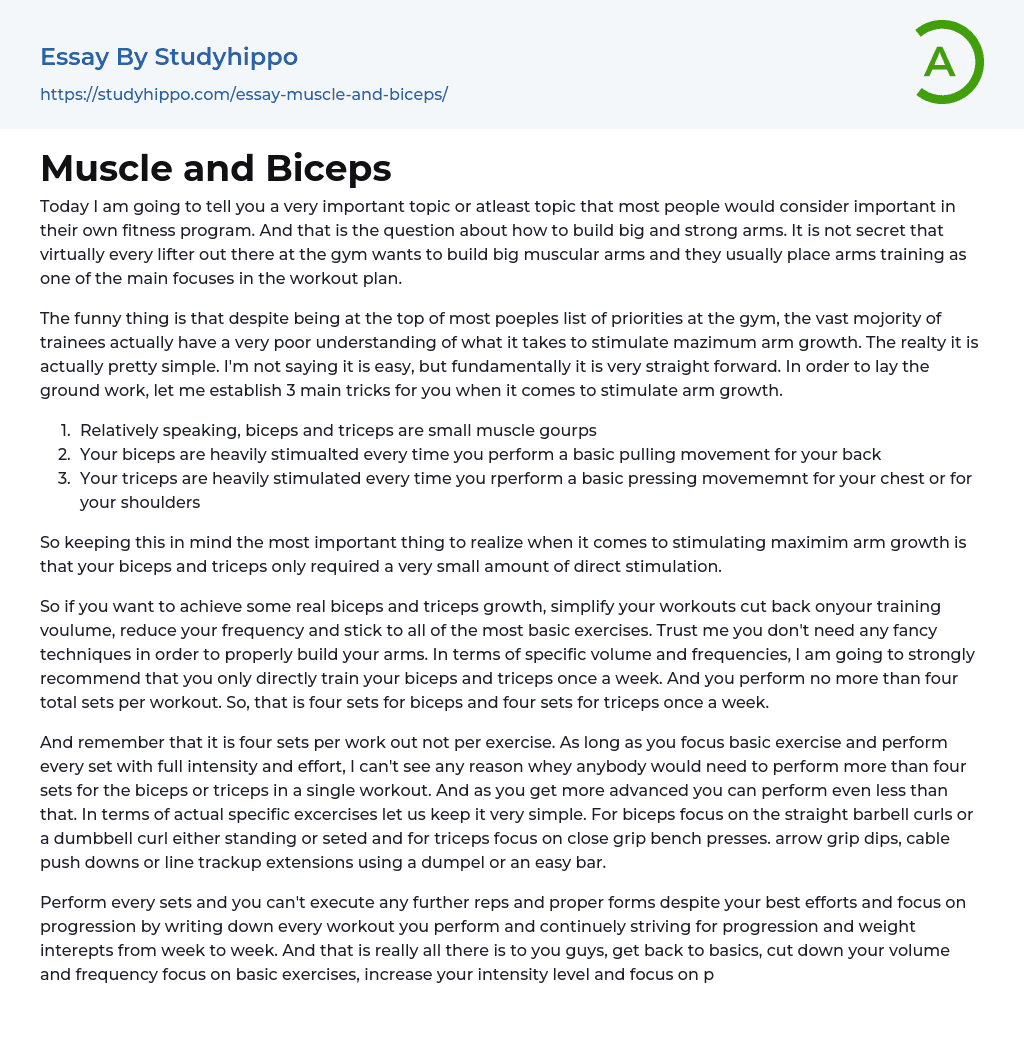 Muscle and Biceps Essay Example