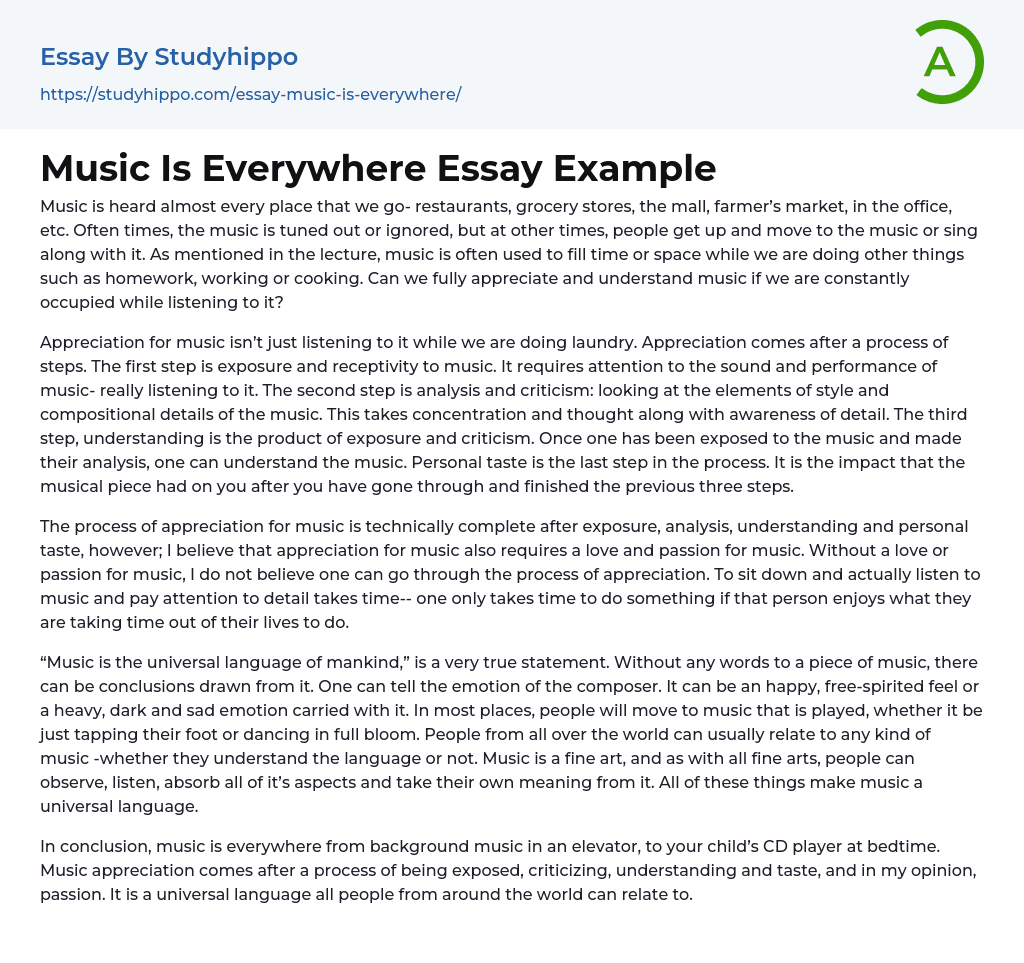Music Is Everywhere Essay Example