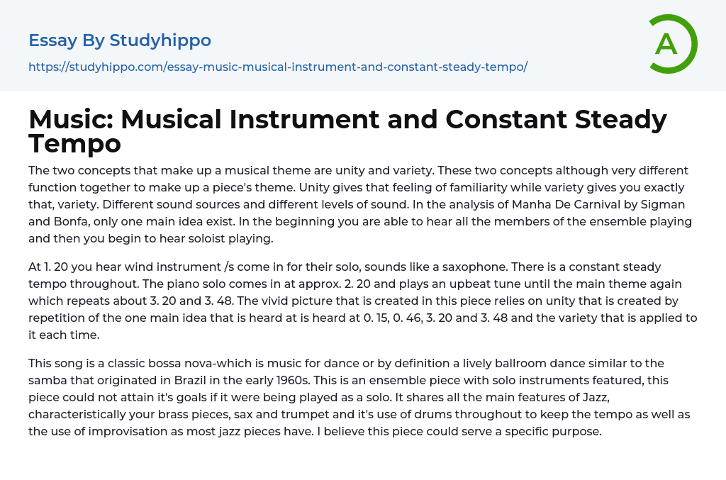 essay on my musical instrument