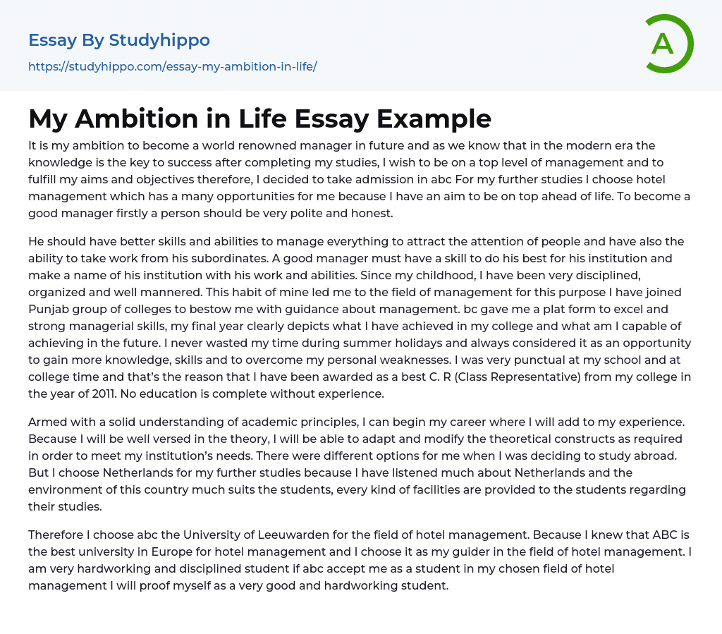 my ambition essay 200 words