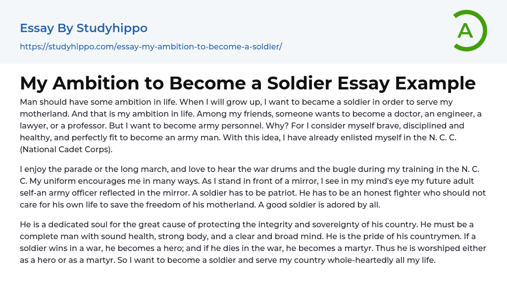 essay on army life