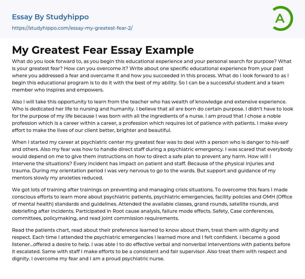 My Greatest Fear Essay Example