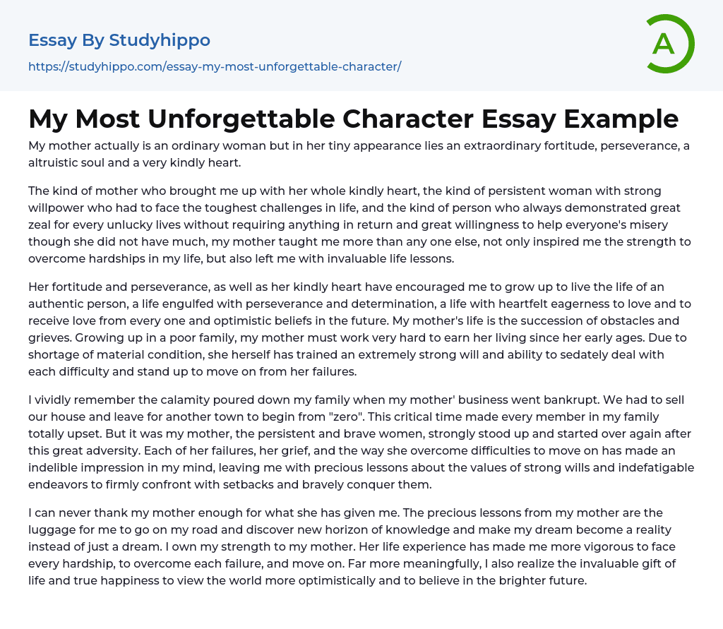 My Most Unforgettable Character Essay Example