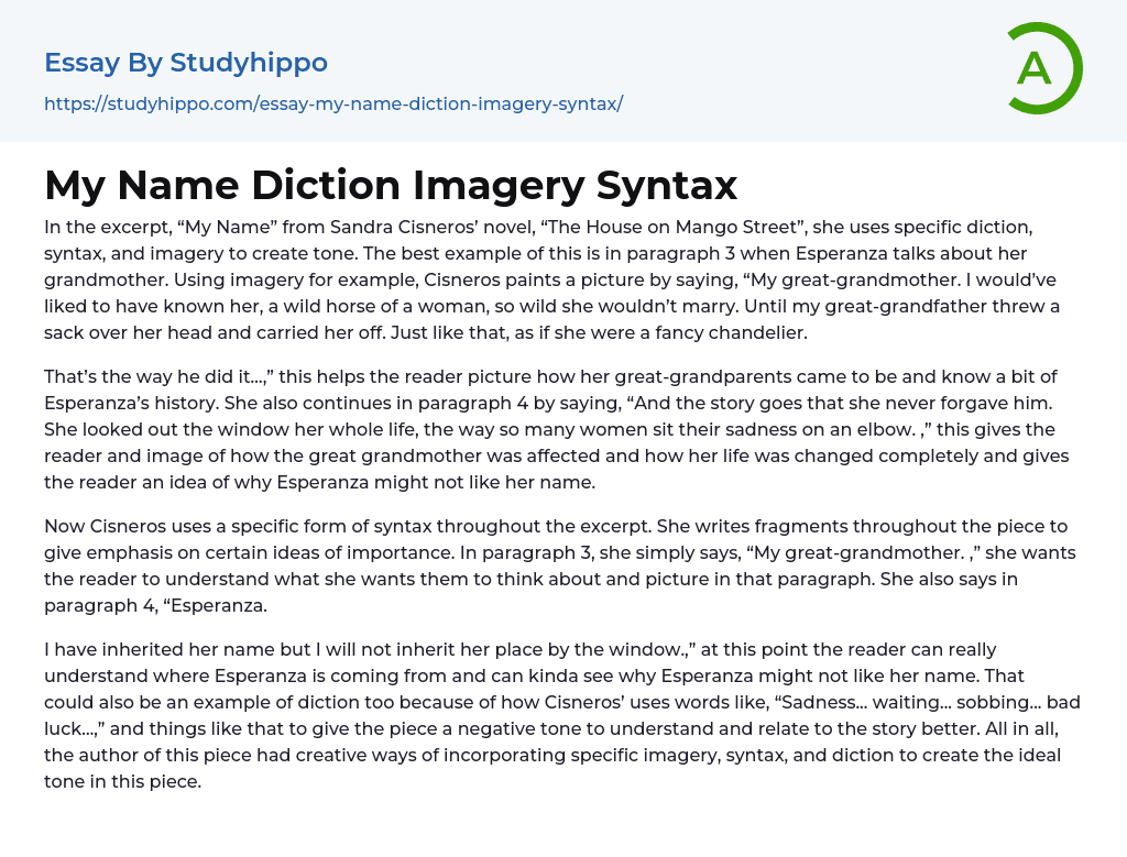My Name Diction Imagery Syntax Essay Example