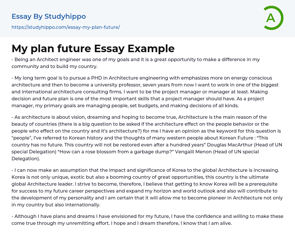 My plan future Essay Example