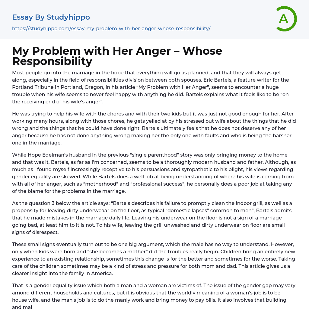 My Problem with Her Anger – Whose Responsibility Essay Example
