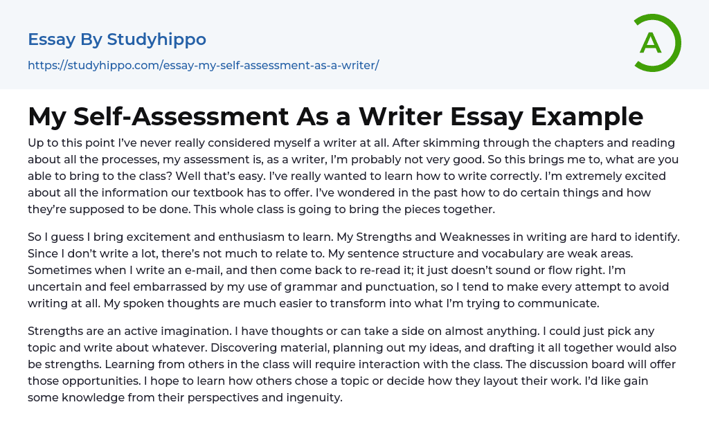 My Self-Assessment As a Writer Essay Example