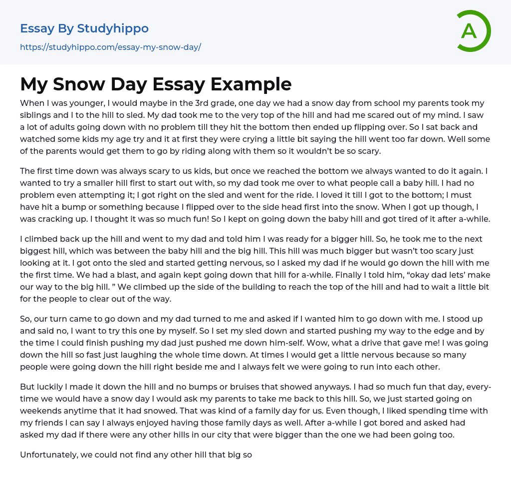 My Snow Day Essay Example