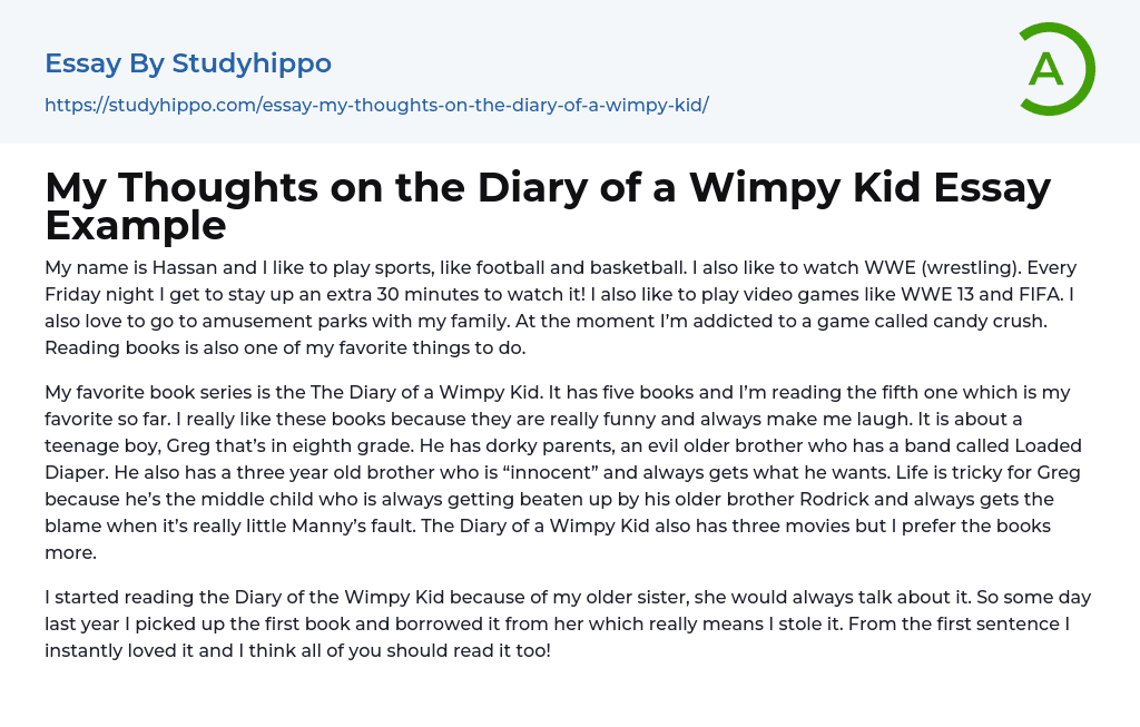 My Thoughts on the Diary of a Wimpy Kid Essay Example